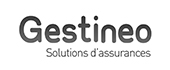 Logo Gestineo